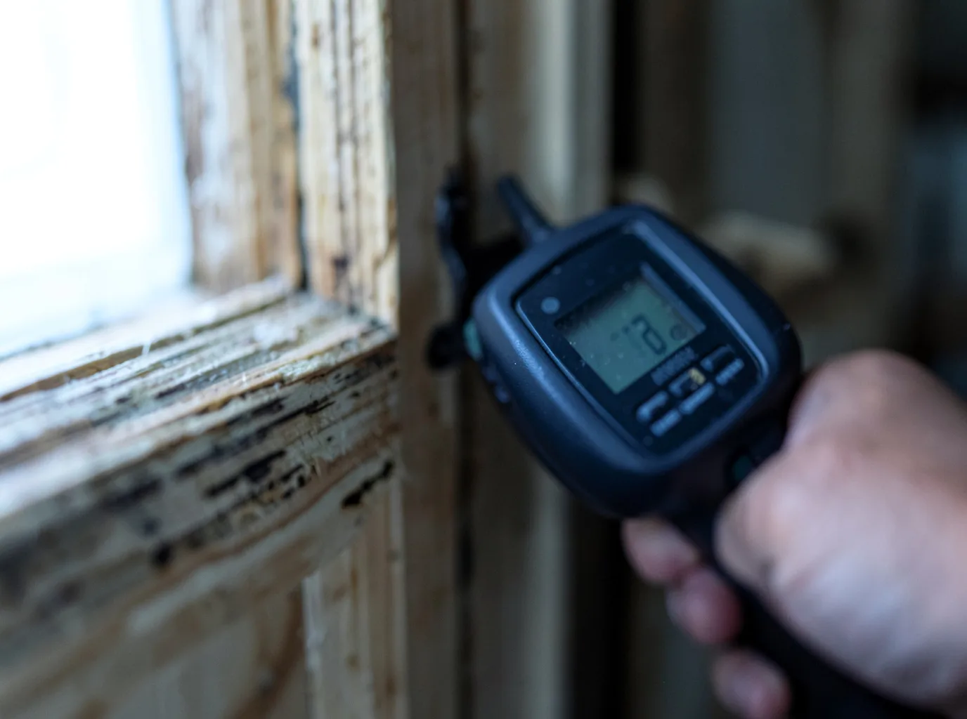 Moisture Inspection And Documentation in Austinburg, OH
